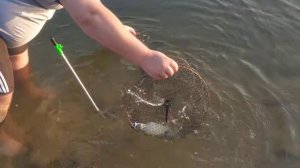 Сегодня не одна рыба не пострадала