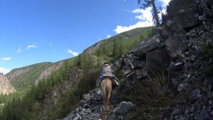 Шавлинский поход. Часть 1/5. Подъём на Мажойский перевал на конях. Алтай.