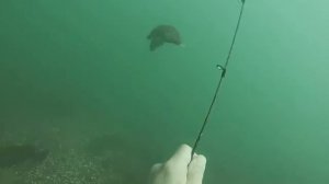 РЫБАЛКА. новый способ ловли спинингом. КАК ВАМ?