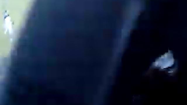 Torjubel dank MARIO HAAS смотреть онлайн