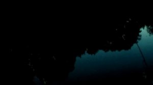 Ночная ловля сома на Белгородском водохранилище