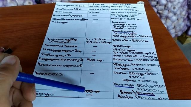 РЕНТАБЕЛЬНОСТЬ ЧЕСНОКА. ВЫГОДНО? Расчеты в цифрах от А до Я.