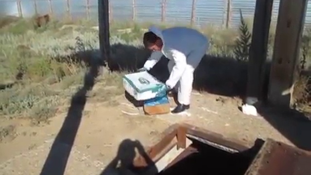 Человек, имеющий секс с курицей из США Сука а я их ел раньше стошнило смотреть онлайн