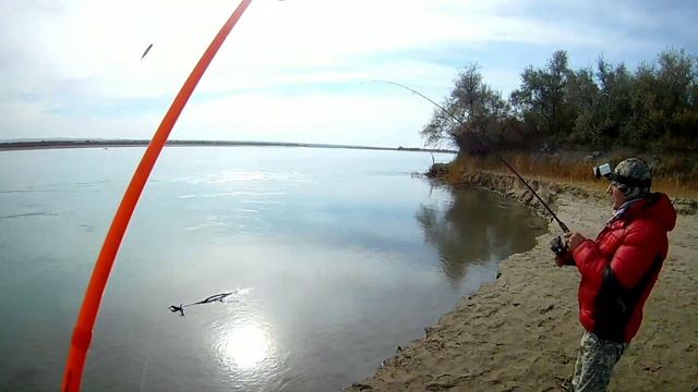 Бешеный клёв осеннего жереха!  Река Или.