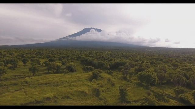 Жена привела в дом свою сестру,но муж её увидел замер от удивления! Истории из Жизни Аудио Рассказ смотреть онлайн