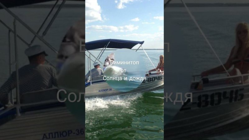 Тент биминитоп для вашей лодки наш сайт tentnalodku.ru #boatcover