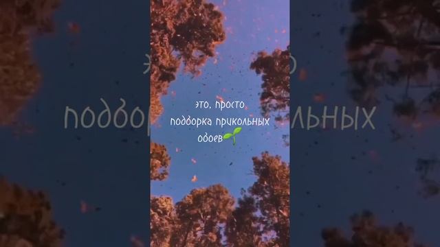 ура! нас 400!/ подборка обоев для вас❤