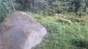 Поездка на Тихонов камень в глушь Большесельского района