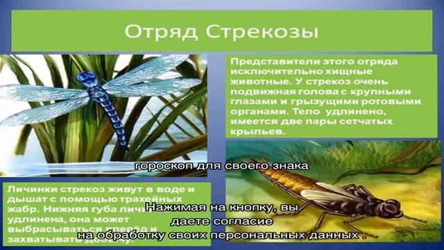 Особенности и черты характера знака зодиака Козерог смотреть онлайн