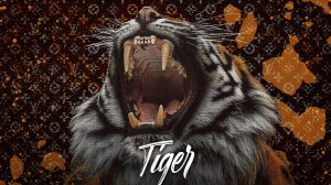 КАРТИНА ТИГР | Tiger