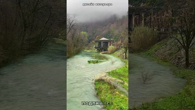 природа #shorts 19 смотреть онлайн