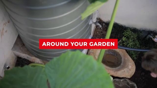 Защитный спрей от грызунов Liqui Moly Marder Spray. смотреть онлайн