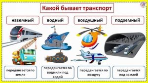 Какой бывает транспорт