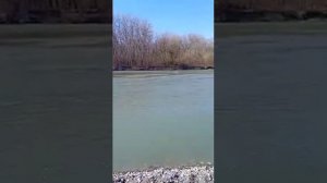 Моздок река Терек