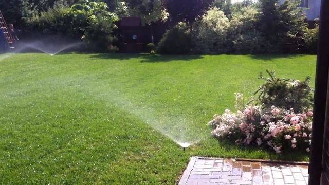 Автополив выполнен ООО "Эктор", г.Воронеж смотреть онлайн