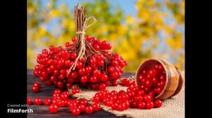ой у лузі червона калина похилилася пісня