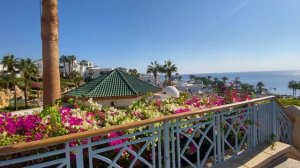 Отдых в Шарм-эль-Шейхе зимой, обзор отеля Park Regency, развод на заводе масел, температура.