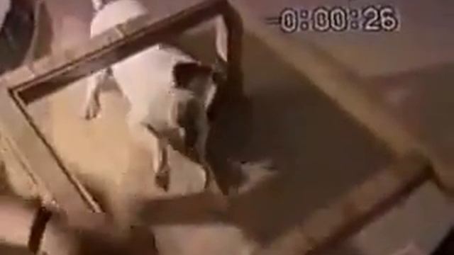 сборник приколовржач