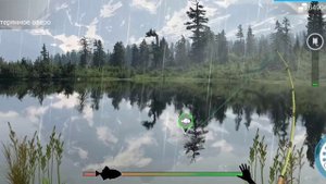 My Fishing World - Берш, Ротан, Густера секреты где и как поймать | Часть - 22