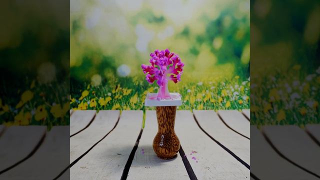 Цветение Чудо-дерева с AliExpress смотреть онлайн