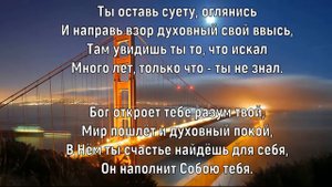 Суета. Елена Ваймер