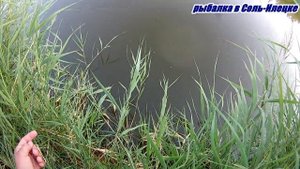 РЫБАЛКА на реке Илек ГОЛАВЛЬ НА ДОНКУ