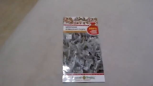 Цинерария Алмазная пудра - ознакомление смотреть онлайн