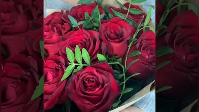 Классика.mp4