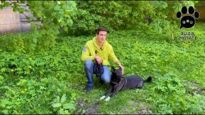 Видеовизитка проекта «АЙДА ГУЛЯТЬ»