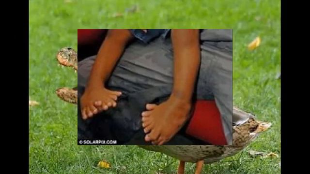 Мутации Чернобыля!НЕ ДЛЯ СЛАБОНЕРВНЫХ!!!! смотреть онлайн