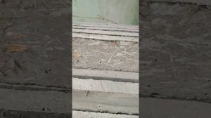 Бетонные балки перекрытия своими руками