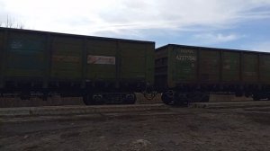 Грузовой поезд. #ржд #железнаядорога #тепловоз #поезд