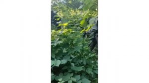 Летние сборы 2022