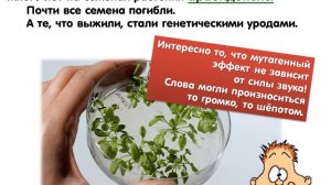 3 февраля -  День борьбы с ненормативной лексикой.