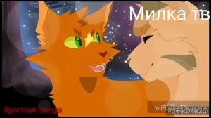 Огнезвезд и песчаная буря//клип коты воители / не пара