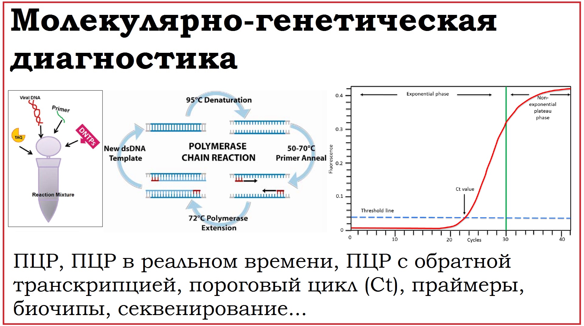 14. Молекулярно-генетические методы диагностики