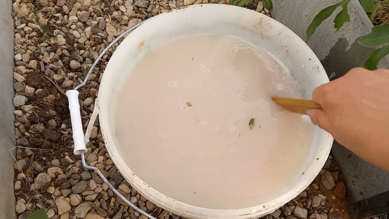 Супер универсальный корм для помидор, огурцов и всех растений в вашем саду и огороде смотреть онлайн