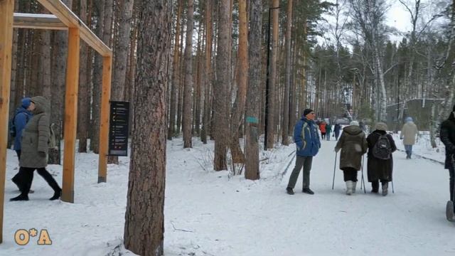 Эко -парк Гремячая грива . Красноярск.