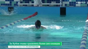 За Кубок главы сразились более 300 пловцов