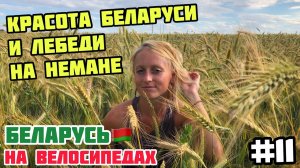 КРАСОТА БЕЛАРУСИ и ЛЕБЕДИ на НЕМАНЕ // Беларусь на велосипедах