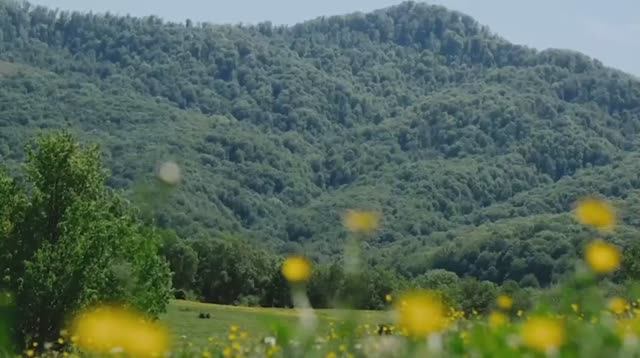 бесконечное чувство спокойствия Лучшая медитация на привлечение любви, изобилия и счастливых событий