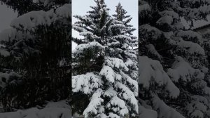 Зимняя сказка в Енакиево. Фильтровальная.26 декабря 2021.