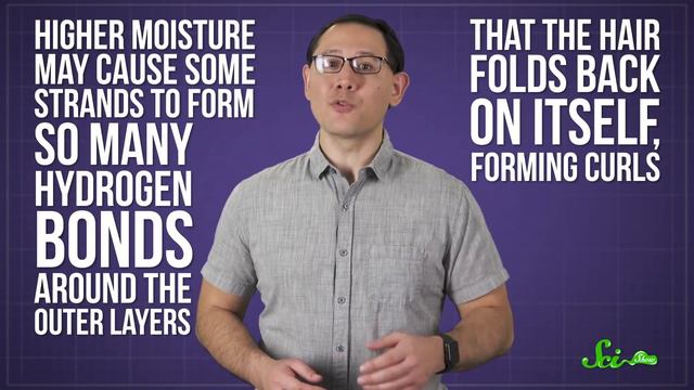 Why Does Hair Get Frizzy When It's Humid? смотреть онлайн