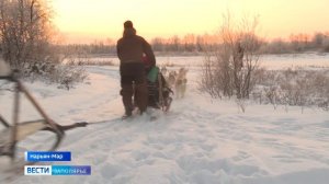 Уроки на нартах. В окружной столице начались тренировки каюров на собачьих упряжках