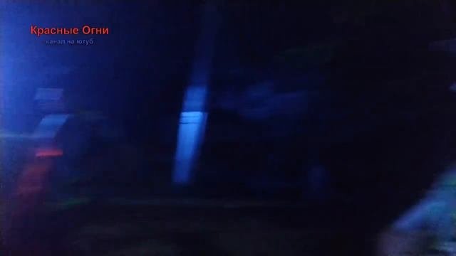 Полиция. Патрулируют.