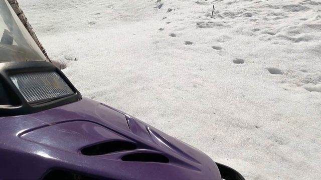 Новая Весна. смотреть онлайн