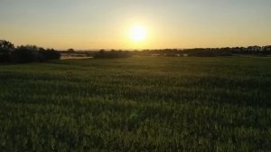 Тайга моя заветная. Страшные. Мистические. Творческие истории. Хоррор