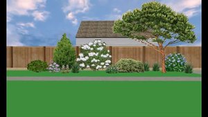 Схема клумбы с хвойными растениями