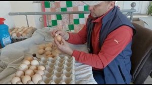 БРОВАДЕЗ-ПЛЮС ЧТО ЭТО ???