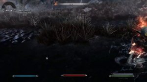 SKYRIM MODS: Иммерсивные существа Скайрима / Skyrim Immersive Creatures